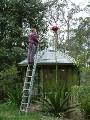 Gymea lily _rob 